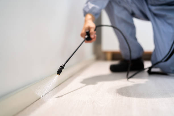 Bed Bug Pre-Treatment Preparation Assessment in Blawnox
