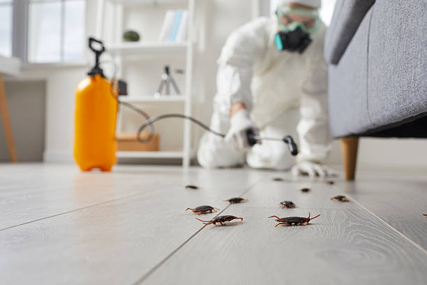 Post-Treatment Bed Bug Interceptor Monitoring in Blawnox
